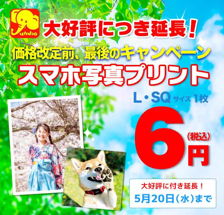 写真載せる専用ページ 日本ジャンボー インターネットオーダー