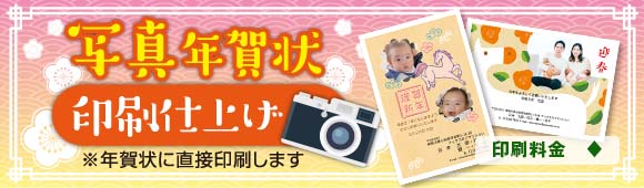 New Year's photo postcard - EP