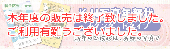 New Year's photo postcard - Standard