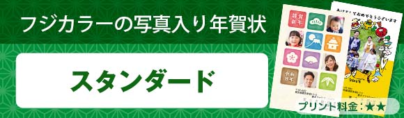 Fuji Color photo postcard - Standard